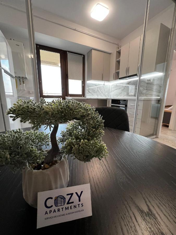 Cozy Apartments - City Center Iasi Ngoại thất bức ảnh
